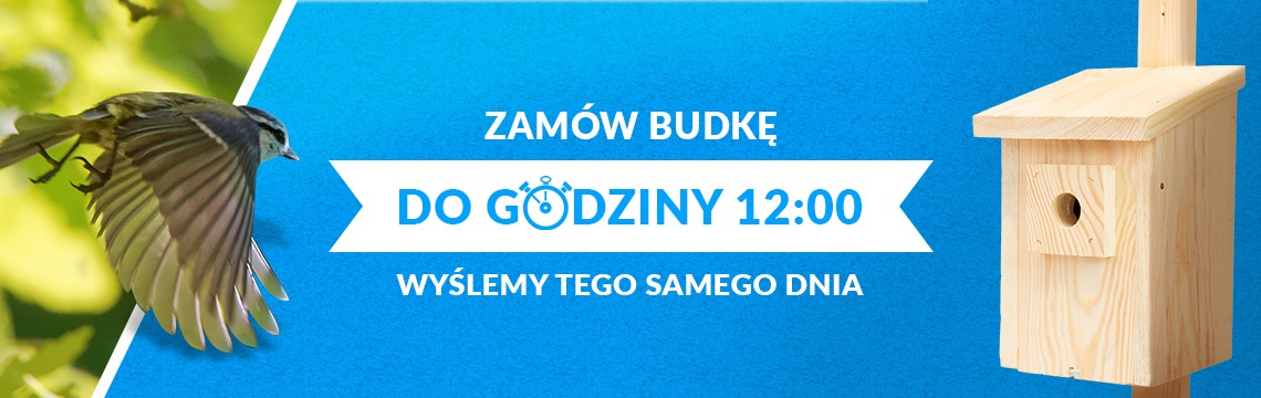 Zamów budkę